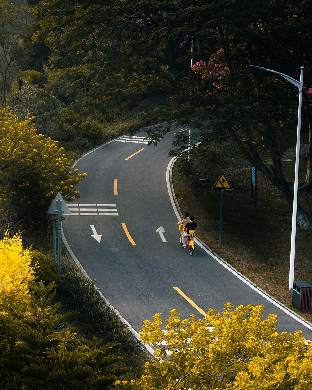 Striving for balance: The allocation of available resources in a way that satisfies ethical principles is also the subject of complex mathematical models. Image: Murphy Fang/Unsplash